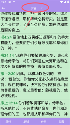 精读圣经新旧约和合本