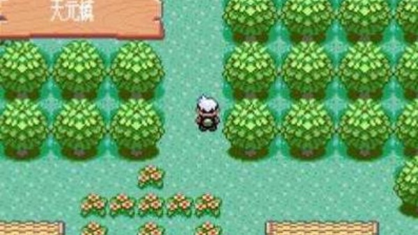 口袋妖怪模拟器