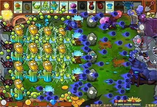 植物大战僵尸杂交版