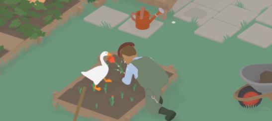 捣蛋鹅双人联机版