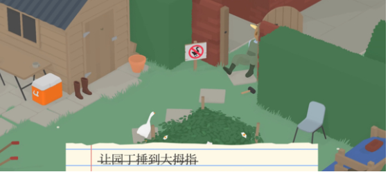 捣蛋鹅双人联机版