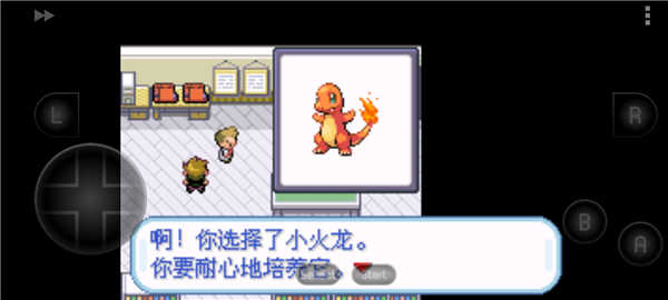 口袋妖怪圣灰汉化版