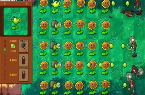 植物大战僵尸共生版