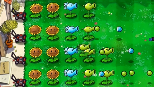 植物大战僵尸精华版