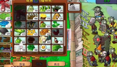 庄不纯植物娘大战僵尸