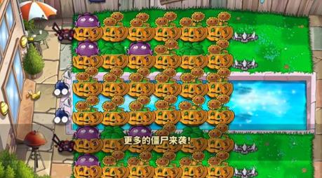 庄不纯植物娘大战僵尸