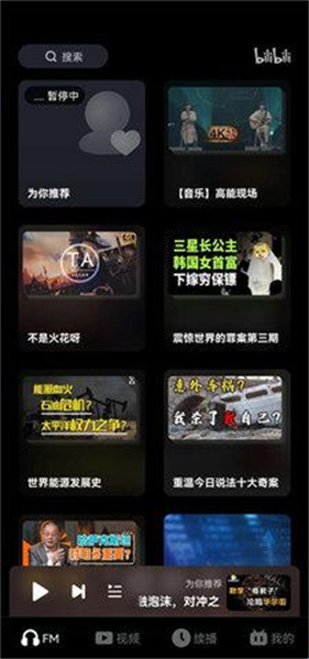 哔哩哔哩车机版