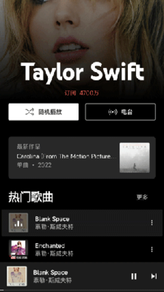 谷歌音乐播放器