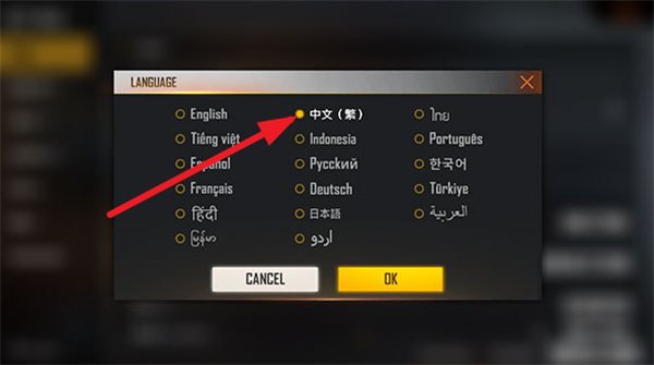 自由开火我要活下去国际服
