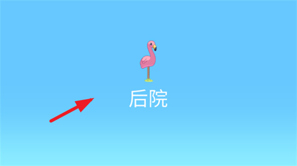 布鲁伊一起玩吧