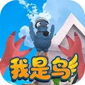 我是鸟