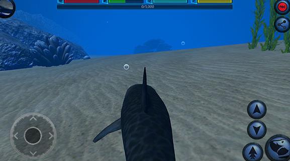 旋齿鲨模拟器