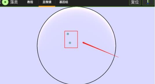 细胞实验室全解锁版