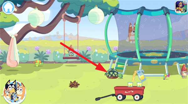 布鲁伊一起玩吧