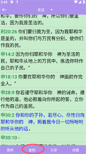 精读圣经新旧约和合本