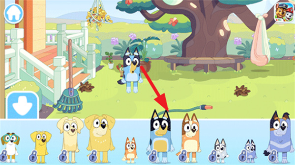 布鲁伊一起玩吧