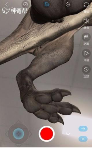 神奇AR