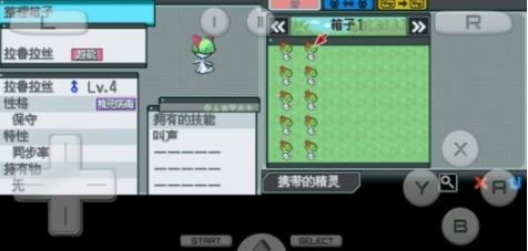 口袋妖怪超透黑2