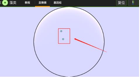 细胞实验室汉化版