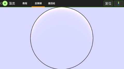 细胞实验室汉化版