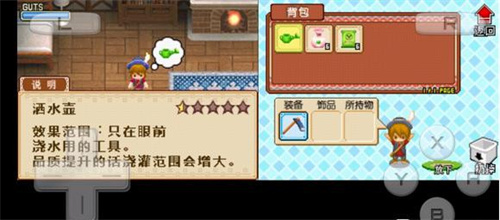 牧场物语风之集市