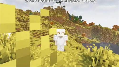 minecraft1.19生存服